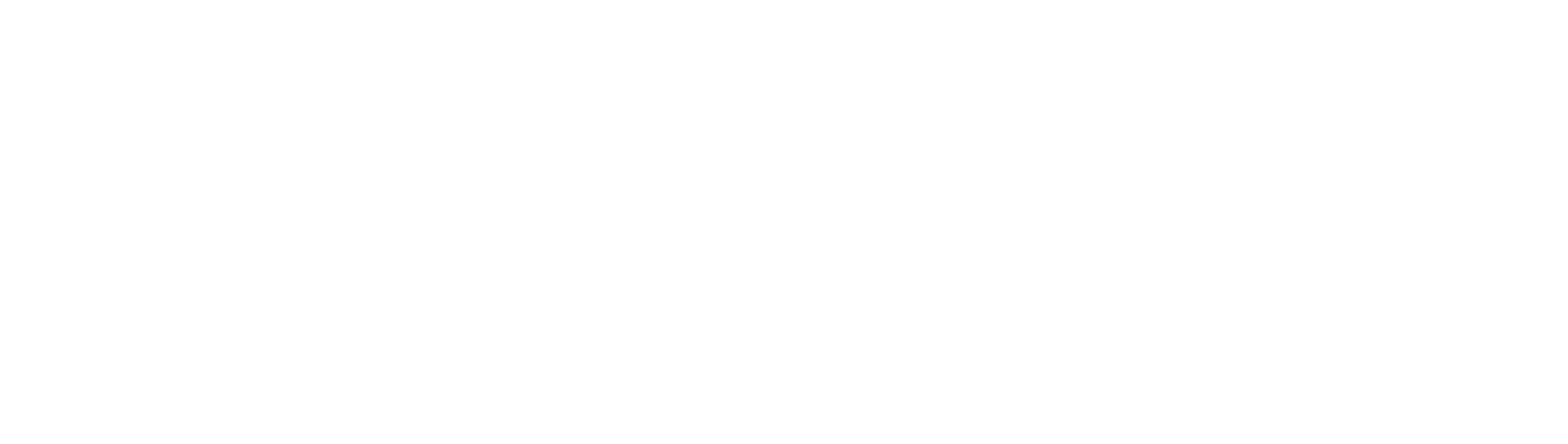 Dry It Yourself Center Logo